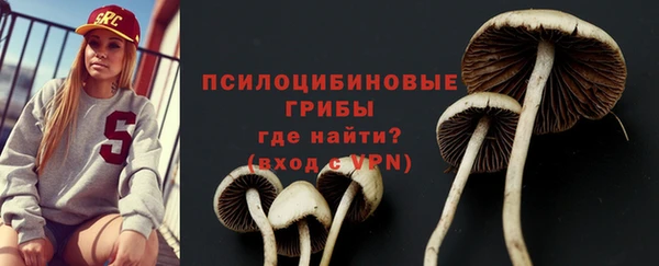 гидра Алзамай