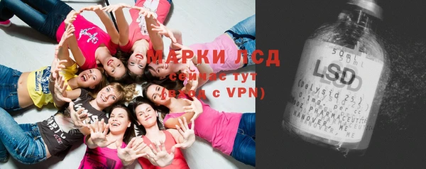 гидра Алзамай